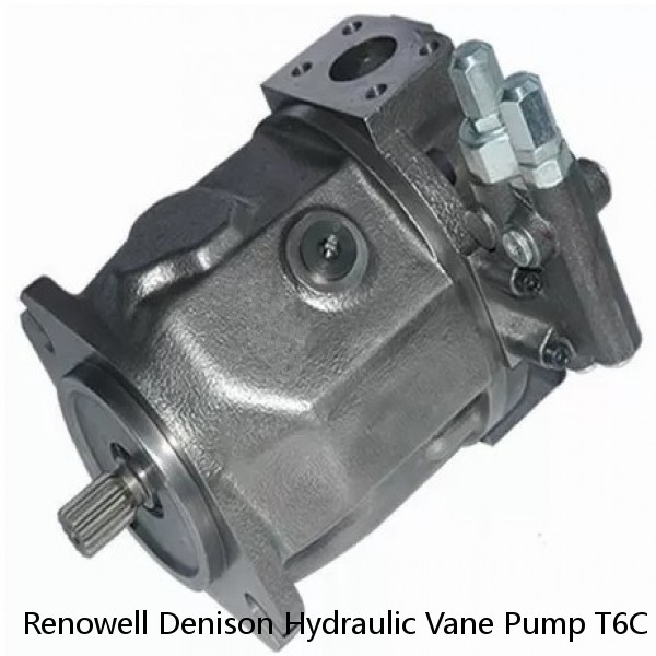 Renowell Denison Hydraulic Vane Pump T6C T6D T6E High Performance Dowel Pin Type